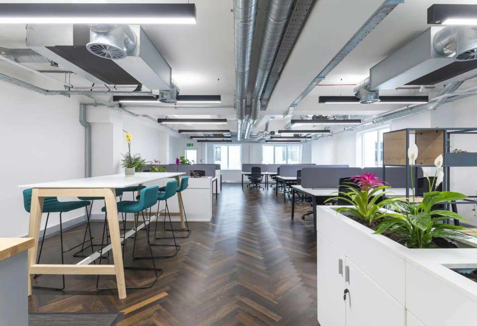 Main Room