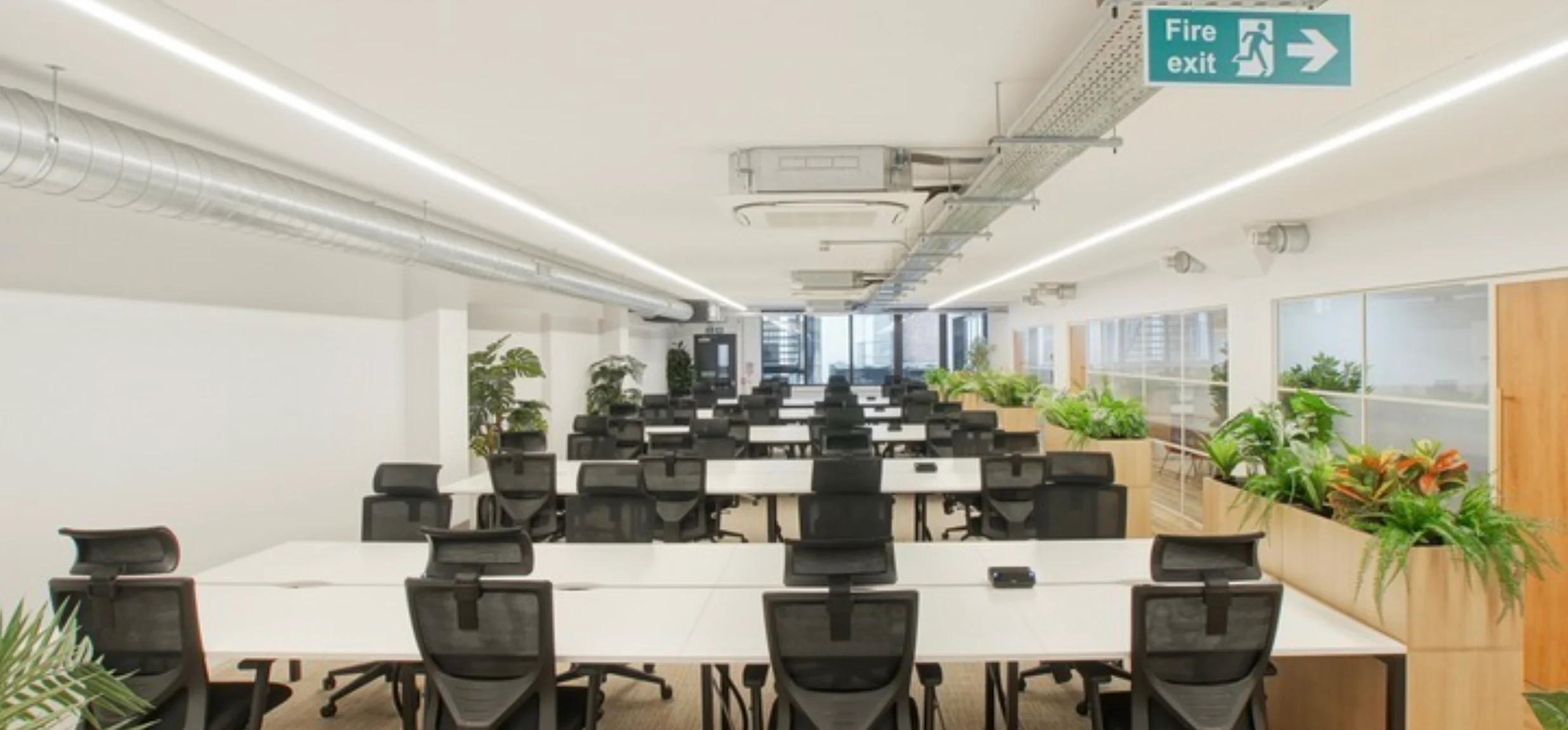 Main Room