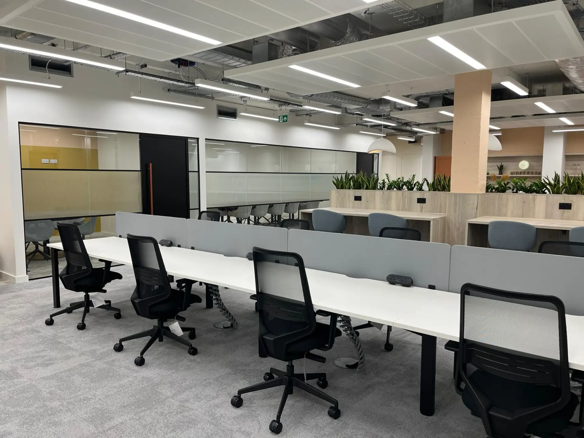 Main Room