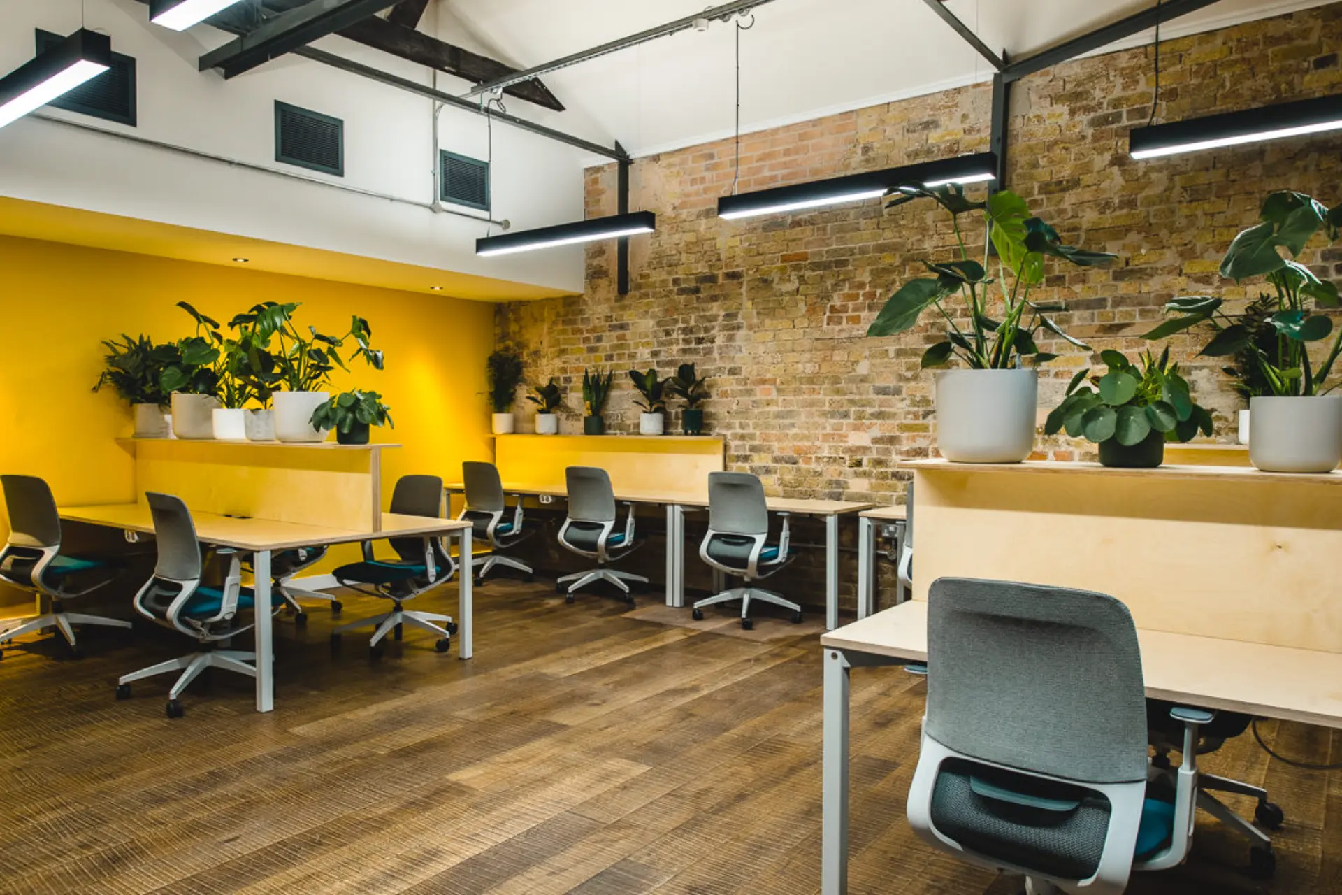 Main Room