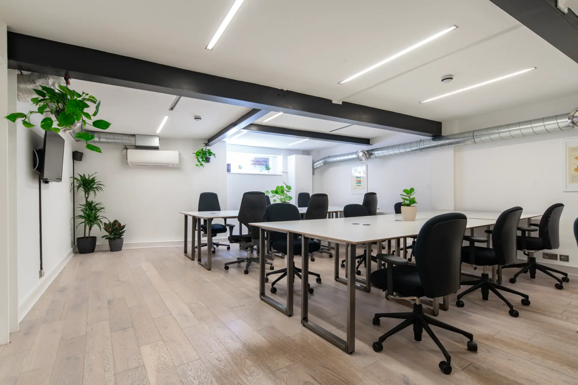 Main Room