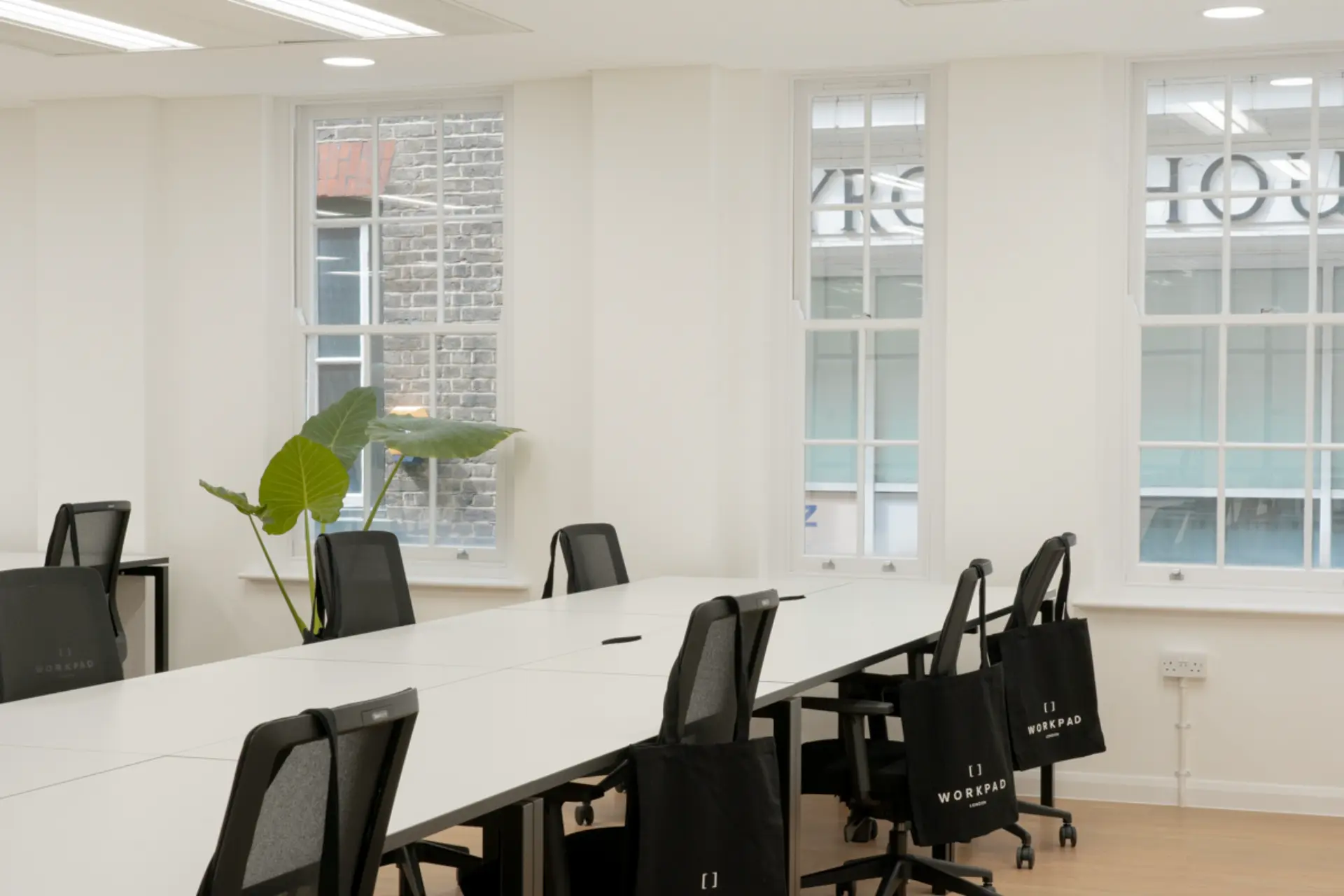 Main Room