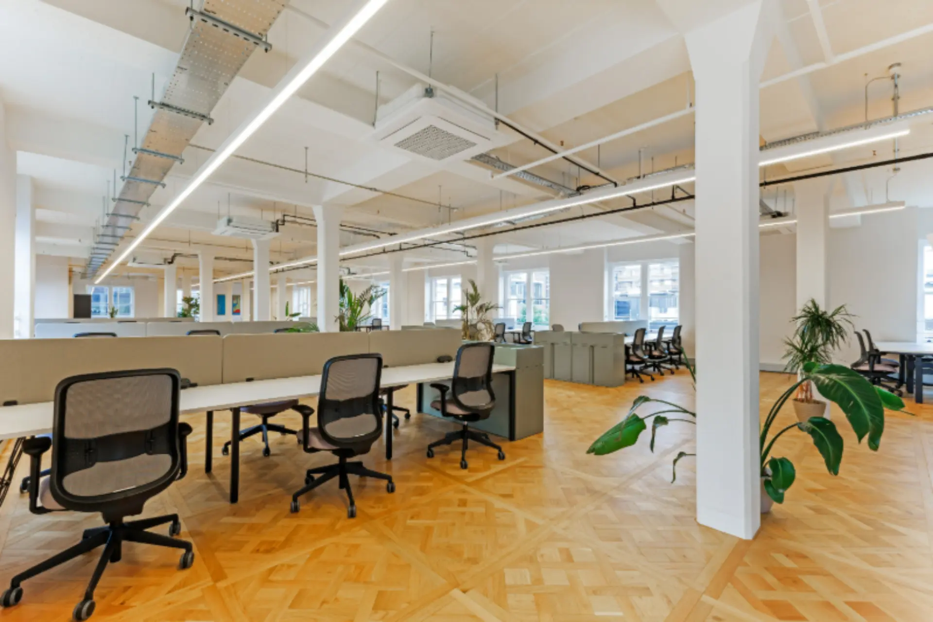Main Room