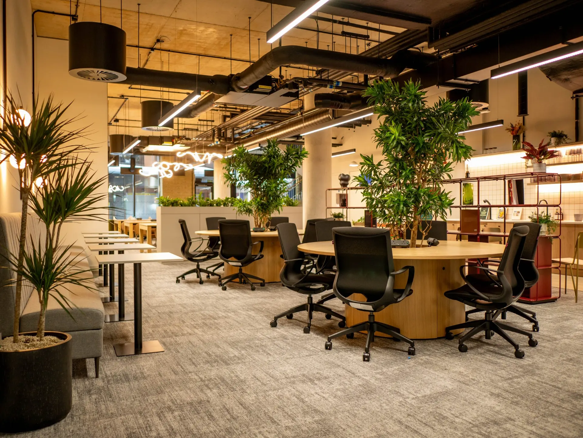 Main Room