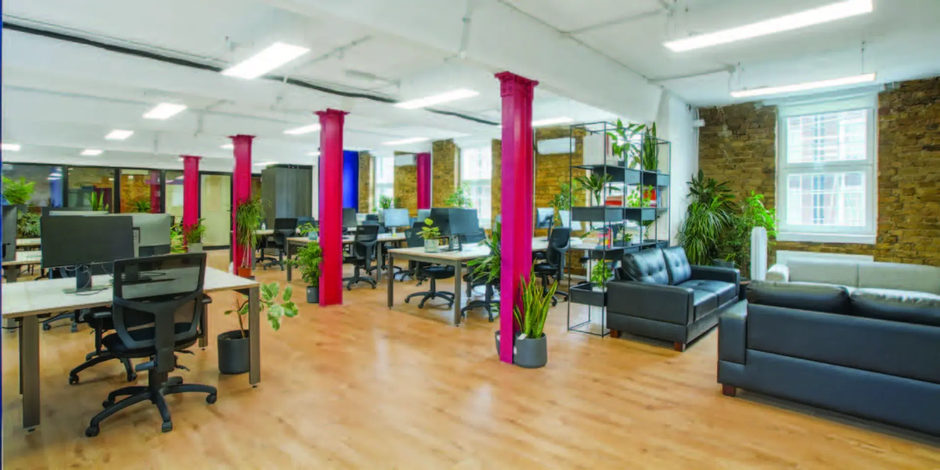 Main Room
