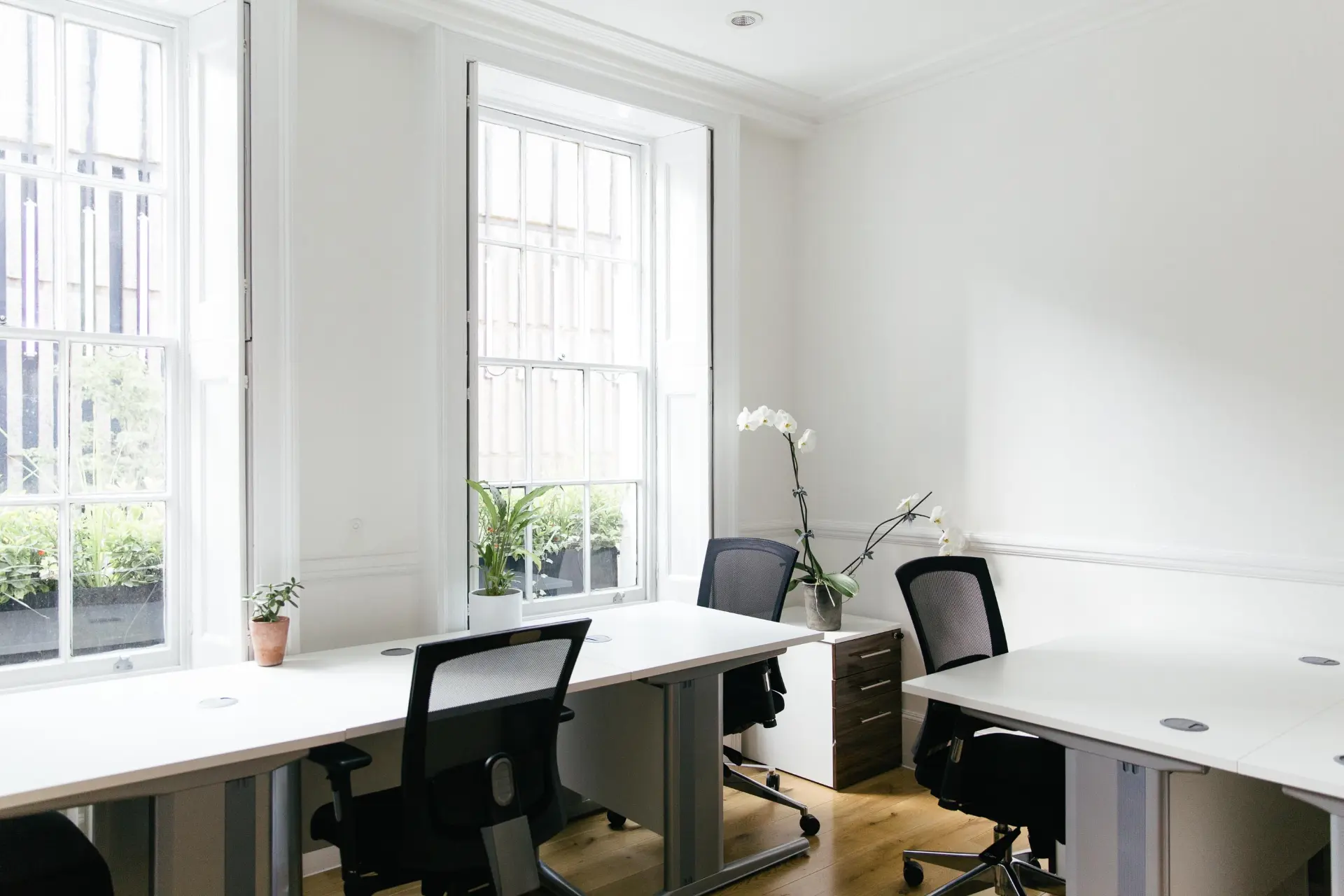 Main Room
