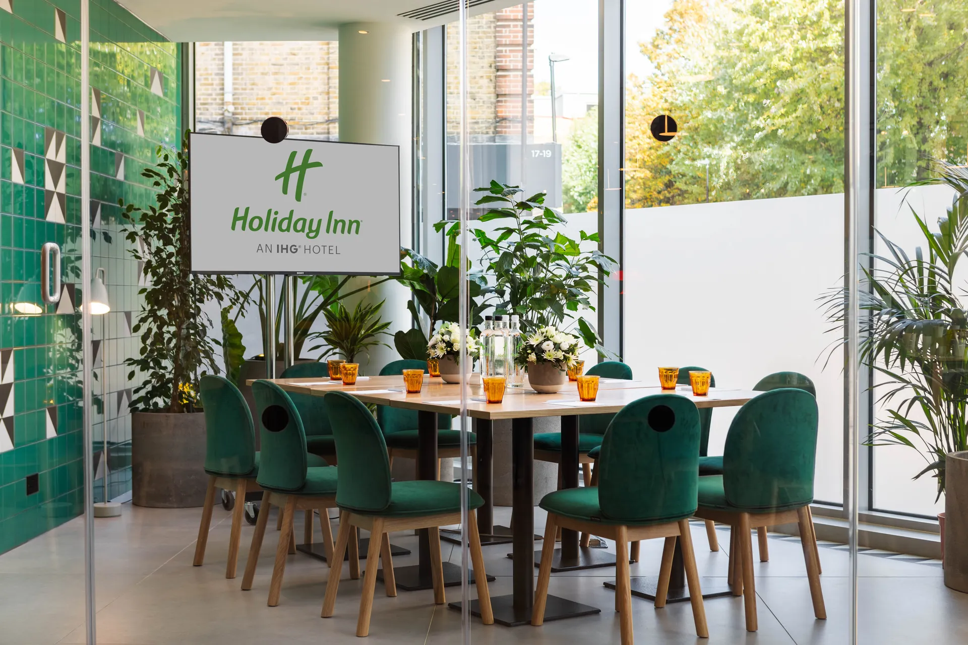 The Green Suite
