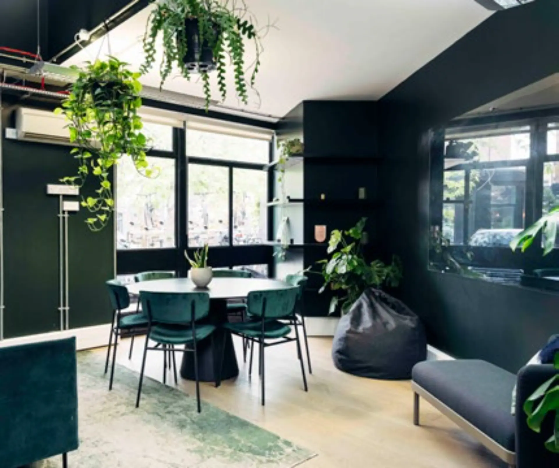 The Snug