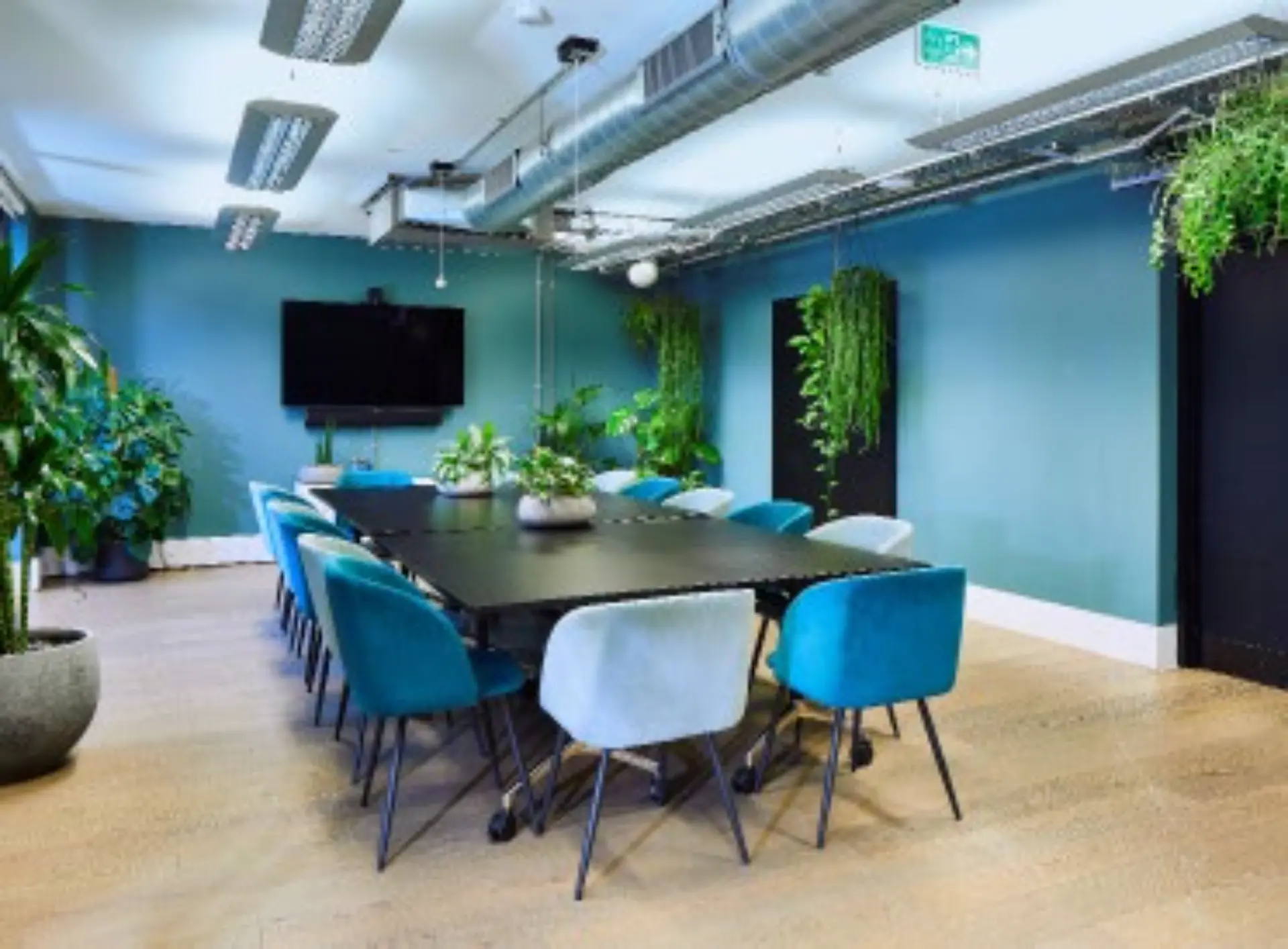 Zen Studio & Snug Room