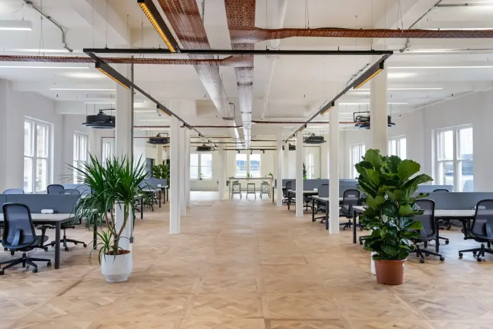 Main Room