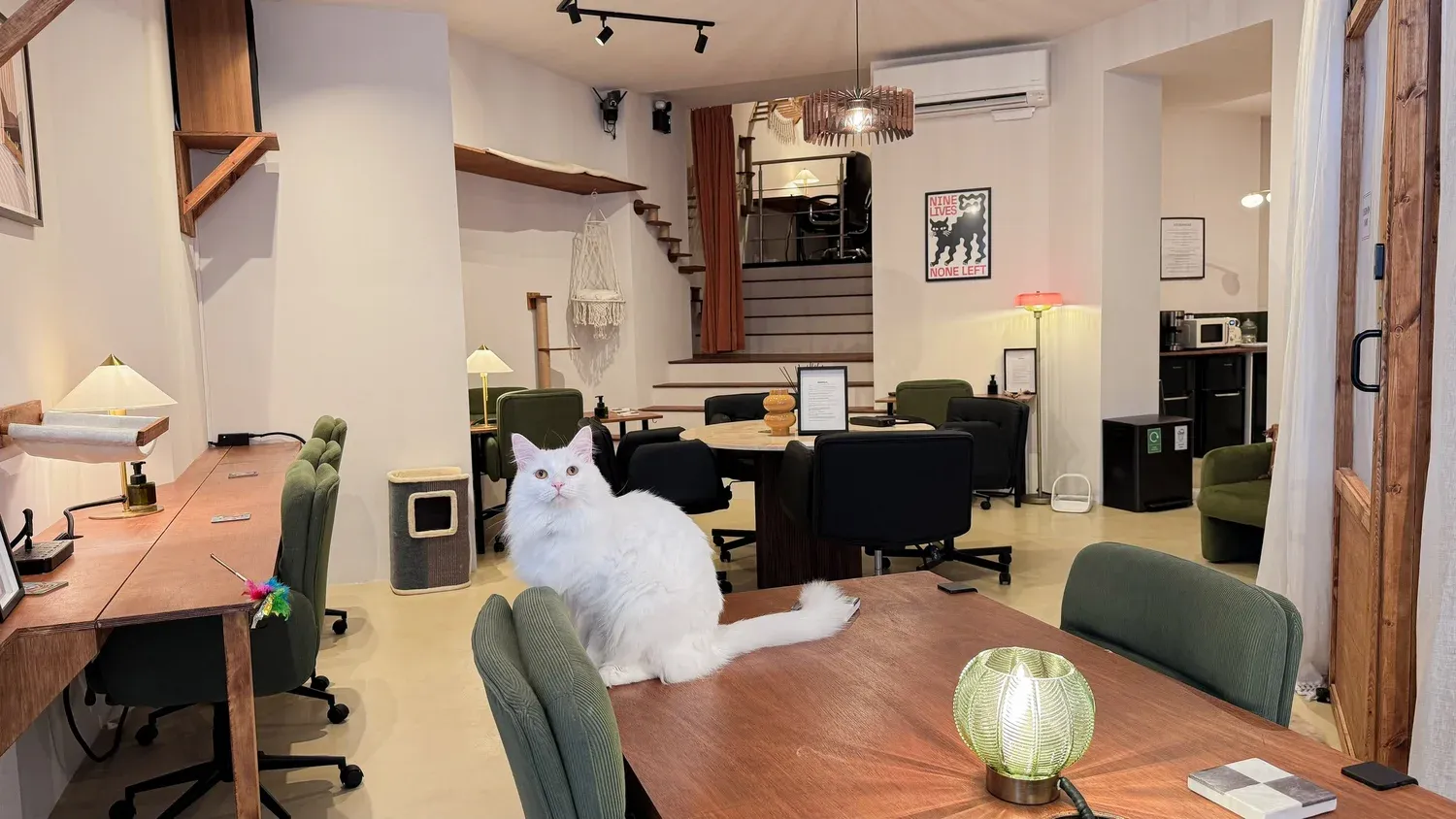 Main Room
